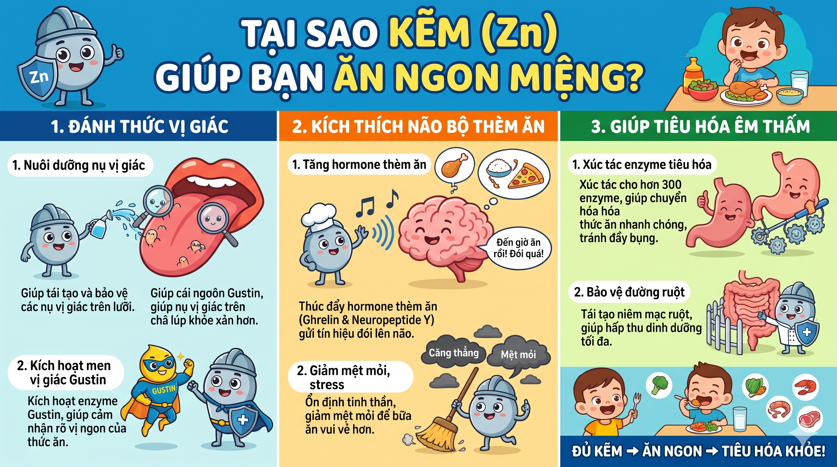Bí Ẩn Phía Sau Cơn Ác Mộng "Con Lười Ăn": Vì Sao Thiếu Kẽm Lại Khiến Trẻ Sợ Cơm?